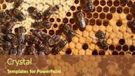  Presentation with cells - Colorful slide deck enhanced with honey-cells-and-working-bees backdrop and a tawny brown colored foreground