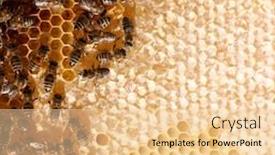  Presentation with cells - Audience pleasing PPT layouts consisting of honey-cells-and-working-bees backdrop and a lemonade colored foreground