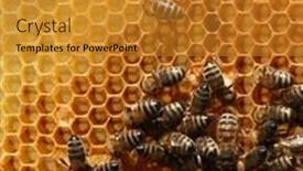  Presentation with cells - 