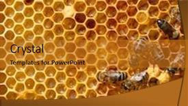  Presentation with cells - Presentation consisting of honey cells and working bees background and a gold colored foreground