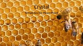  Presentation with comb bee - Audience pleasing PPT layouts consisting of honey comb and a bee working backdrop and a gold colored foreground