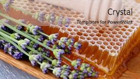  Presentation with lavender flowers - Slides enhanced with honey comb with lavender flowers - sweet food background and a soft green colored foreground