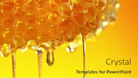  Presentation with healthy food - Presentation theme featuring honey-dripping-from-honey-comb background and a yellow colored foreground