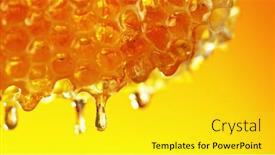  Presentation with honeycomb - PPT theme with honey-dripping-from-honey-comb background and a yellow colored foreground