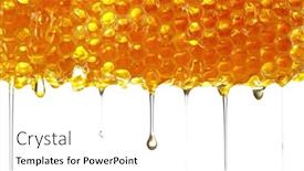  Presentation with honeycomb - Slides having honey-dripping-from-honey-comb background and a white colored foreground