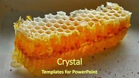 Presentation with honey bee honeycomb - Slide deck consisting of honey honeycomb detail macro texture background and a tawny brown colored foreground