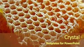  Presentation with honey bee honeycomb - PPT layouts having honey honeycomb detail macro texture background and a tawny brown colored foreground