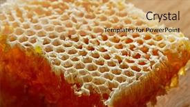  Presentation with honeycomb - Beautiful PPT theme featuring honey honeycomb detail macro texture backdrop and a yellow colored foreground
