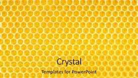  Presentation with honeycomb - Audience pleasing slide deck consisting of honey in honeycomb background backdrop and a yellow colored foreground