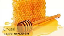  Presentation with wooden stick - Slides consisting of honey-wooden-dipper-stick background and a yellow colored foreground