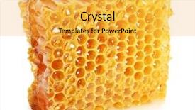  Presentation with honeycomb - PPT layouts having honeybees - honeycomb isolated on white background and a yellow colored foreground