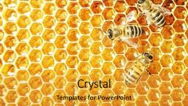 Presentation with cells - Amazing presentation having honeycomb - close up view backdrop and a gold colored foreground