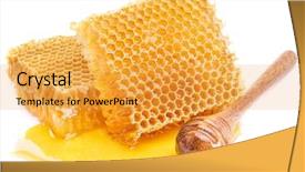  Presentation with high quality - Presentation enhanced with honeycomb and honey dipper background and a yellow colored foreground