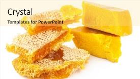  Presentation with wax - Beautiful slides featuring honeycomb and wax backdrop and a yellow colored foreground