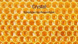  Presentation with cells - Beautiful slides featuring honeycomb cells natural background backdrop and a gold colored foreground