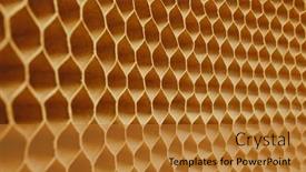  Presentation with cells - Audience pleasing PPT theme consisting of honeycomb-cells-of-cardboard-stiffening backdrop and a gold colored foreground
