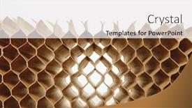  Presentation with cells - Amazing PPT layouts having honeycomb-cells-of-cardboard-stiffening backdrop and a white colored foreground
