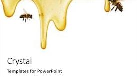  Presentation with honeycomb - Audience pleasing PPT theme consisting of honeycomb cut in heart form backdrop and a white colored foreground