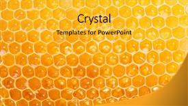  Presentation with honeycomb - Theme with honeycomb high-quality picture macro background and a yellow colored foreground