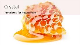  Presentation with honeycomb - Amazing PPT theme having honeycomb-in-closeup-on-white backdrop and a lemonade colored foreground