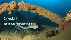  Presentation with honeycomb - Beautiful slide deck featuring  backdrop and a  colored foreground