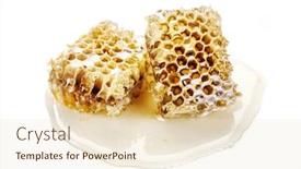  Presentation with honeycomb - Beautiful presentation theme featuring honeycomb-on-white-background backdrop and a lemonade colored foreground