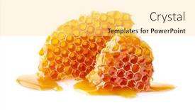  Presentation with honeycomb - Cool new PPT layouts with honeycomb-with-honey-drop backdrop and a yellow colored foreground