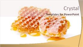  Presentation with honeycomb - Beautiful presentation featuring honeycomb-with-honey-drop backdrop and a lemonade colored foreground