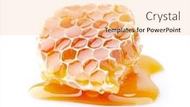  Presentation with honey bee honeycomb - Presentation design enhanced with honeycomb-with-honey-drop background and a lemonade colored foreground