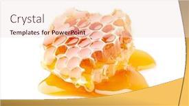  Presentation with honeycomb - Audience pleasing theme consisting of honeycomb-with-honey-in-closeup backdrop and a lemonade colored foreground