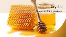  Presentation with honey bee honeycomb - Slides having honeycomb with honey background and a yellow colored foreground