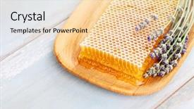  Presentation with lavender flowers - PPT theme having honeycomb with lavender flowers - sweet food background and a lemonade colored foreground