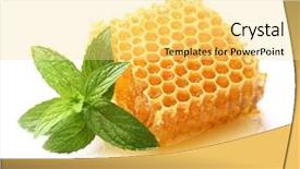  Presentation with honeycomb - Presentation design featuring honeycomb with mint in closeup background and a yellow colored foreground