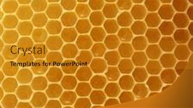 Presentation with honeycomb - Cool new PPT layouts with honeycomb backdrop and a gold colored foreground