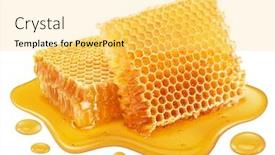  Presentation with honey - Amazing presentation having honeycombs-and-sweet-sticky-honey backdrop and a yellow colored foreground