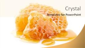  Presentation with isp network cables closeup - Beautiful PPT theme featuring honeycombs-in-closeup-on-white backdrop and a blonde colored foreground