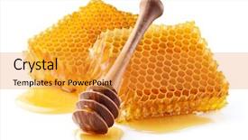  Presentation with honeycomb - PPT layouts having honeycombs in closeup background and a gold colored foreground