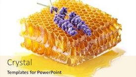  Presentation with lavender flowers - Slide deck having honeycombs with lavender flowers background and a yellow colored foreground