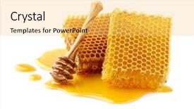  Presentation with honeycomb - Audience pleasing slide set consisting of honeycombs with wooden spoon backdrop and a yellow colored foreground