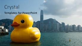  Presentation with rubber duck - Audience pleasing slides consisting of hong-kong-may-15-duck backdrop and a light blue colored foreground