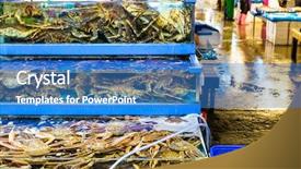  Presentation with tank - Cool new PPT theme with hong kong restaurants - seafood market fish tank backdrop and a teal colored foreground