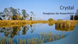  Presentation with wetland - Beautiful presentation theme featuring woman having a headache isolated on white background backdrop and a lemonade colored foreground