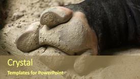  Presentation with asian - Slides featuring hoof of the malayan tapir background and a coral colored foreground