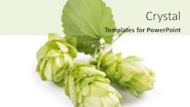  Presentation with background - Colorful slide deck enhanced with hop-cones-isolated-on-white backdrop and a yellow colored foreground