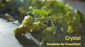  Presentation with leaves - Presentation enhanced with hop-cones-with-leaves background and a tawny brown colored foreground