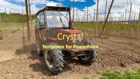  Presentation with czech republic - PPT theme enhanced with hop-field-early-spring-time background and a tawny brown colored foreground