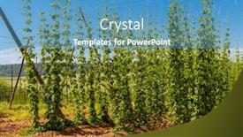  Presentation with region - 