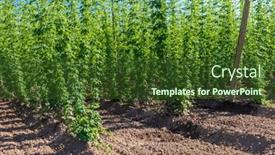  Presentation with region - 