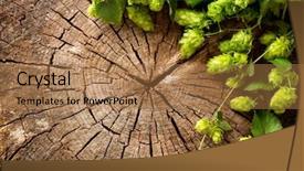  Presentation with branch - PPT theme consisting of hops plant - fresh green hop branch background and a coral colored foreground