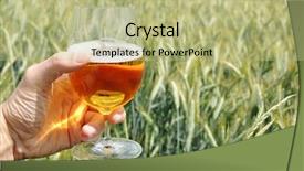  Presentation with beer bar pub tap counter - Cool new presentation with fresh fruit on skewers on a white plate close-up backdrop and a coral colored foreground